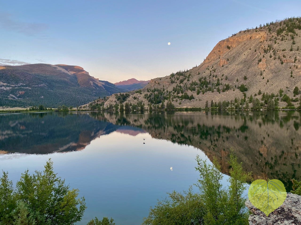 still lake with mountains rising from the shoreline, full moon in blue sky, bird flying across lake, all mirrored in the still water. photo: Susan J Tweit still lake with mountains rising from the shoreline, full moon in blue sky, bird flying across lake, all mirrored in the still water. photo: Susan J Tweit