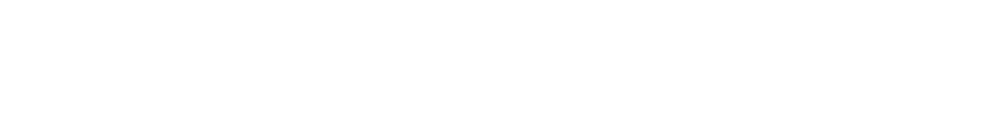 The Observer
