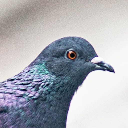 Moyamensing Archives