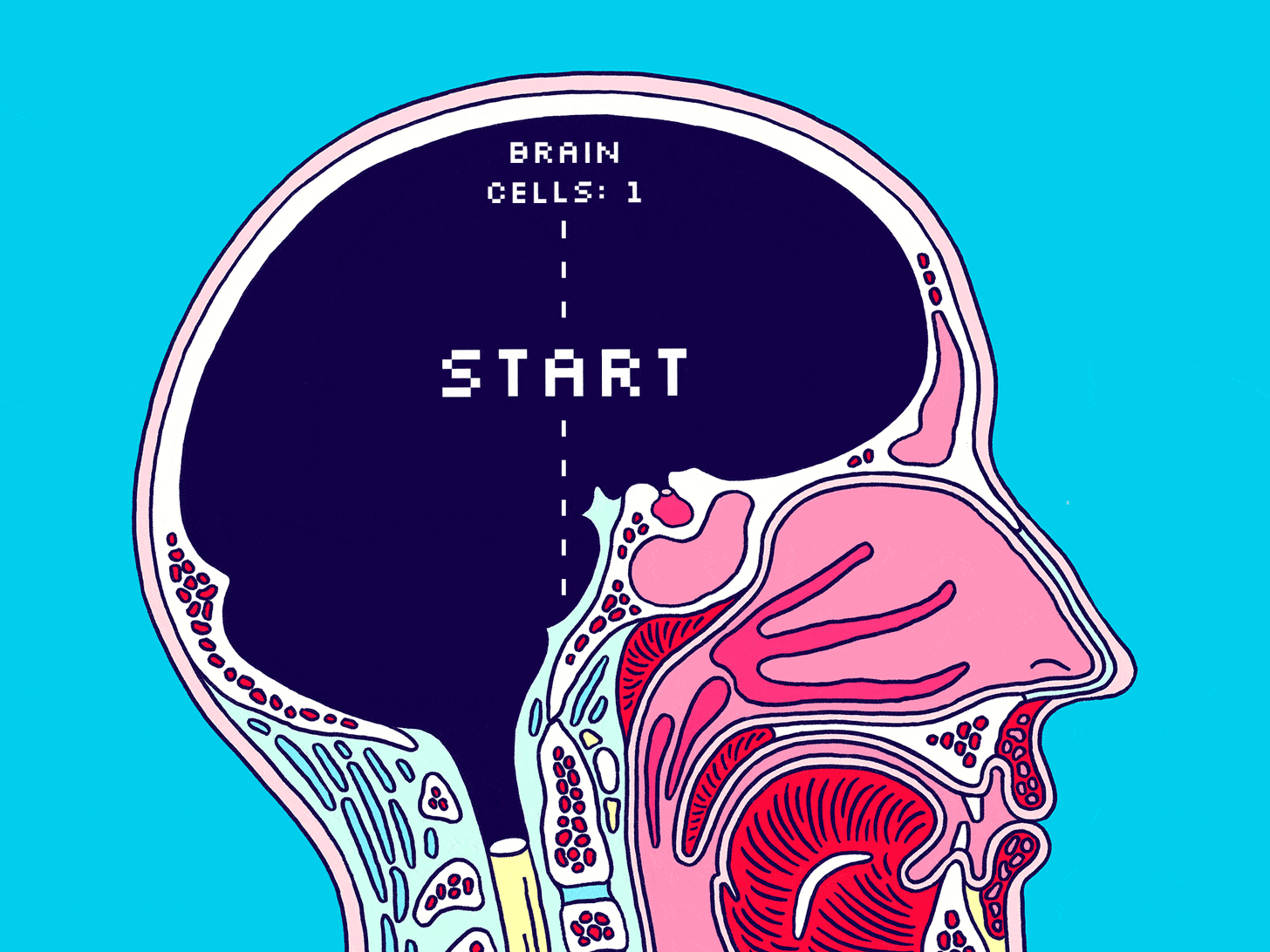 Are We Getting Stupider? | The New Yorker