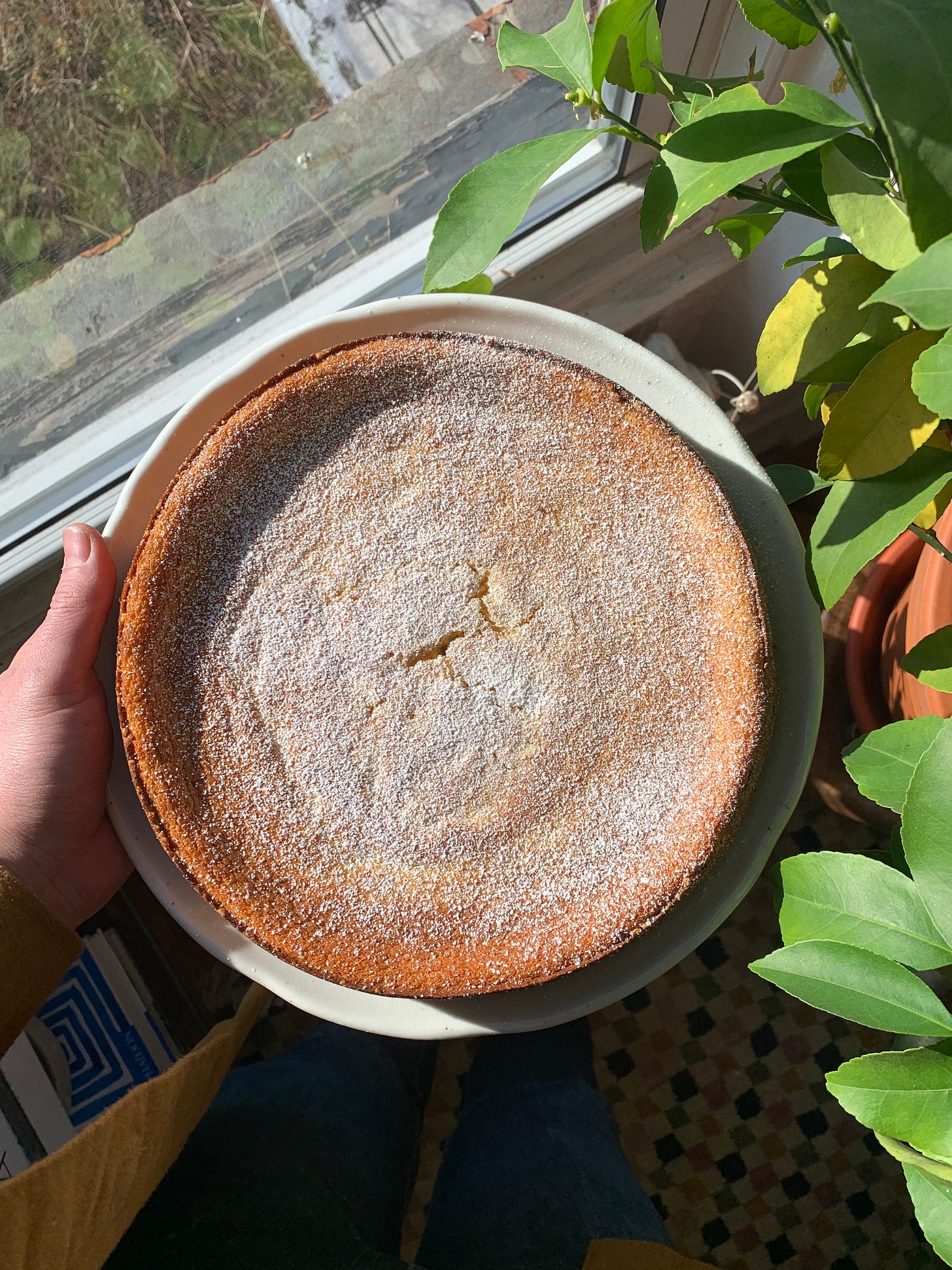 orange cake