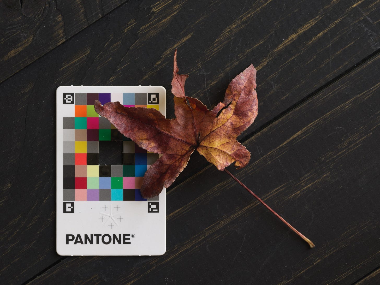 Adobe and Pantone libraries