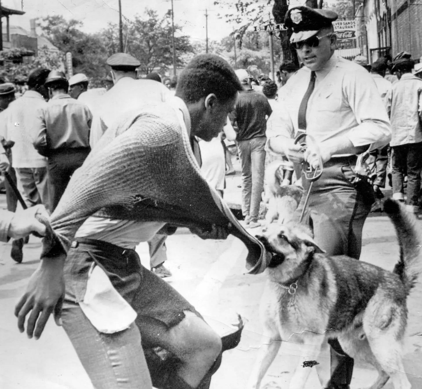 The Role 'Vicious Dogs' Play in Police Brutality Against Black People - Newsweek The Role 'Vicious Dogs' Play in Police Brutality Against Black People - Newsweek