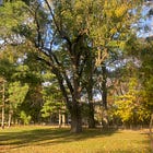 Agent Washing: Why Misunderstanding AI Autonomy Puts Workforces at Risk