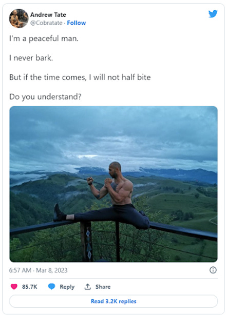 Andrew Tate tweet