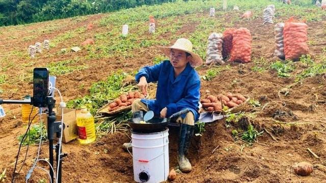 直播走进田间地头寻甸洋芋打开云端销路_财经头条