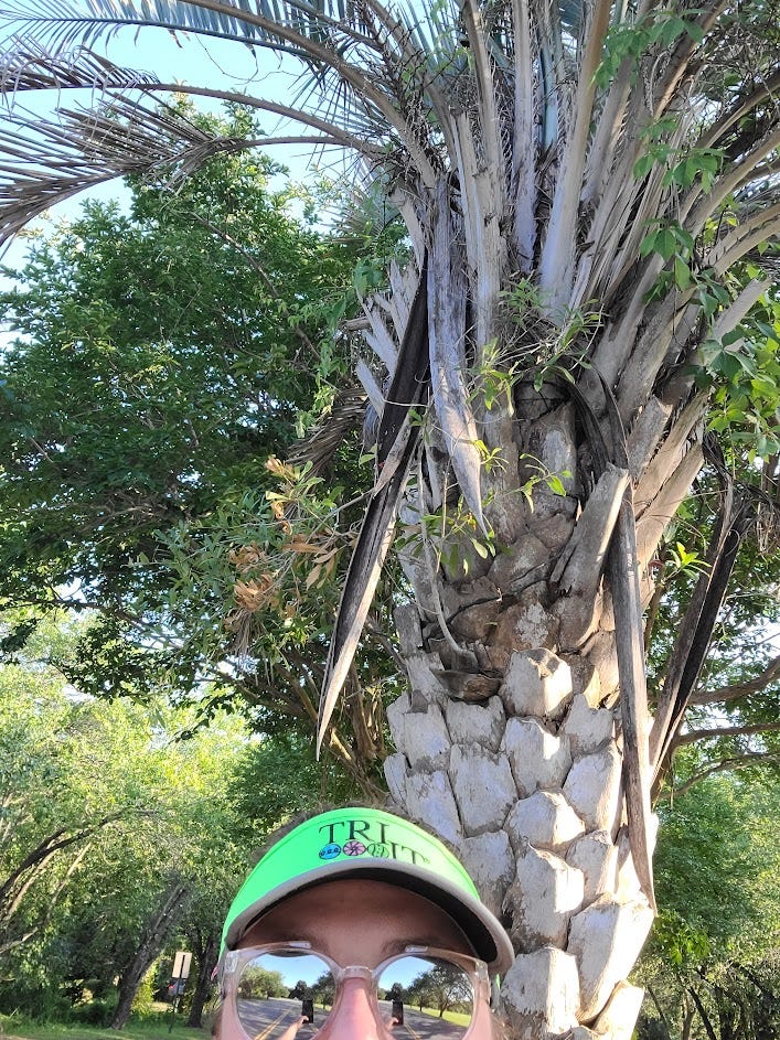Sydney on a long training run for the Every Woman's Marathon. She wears a green visor and stands in front of a palm tree.