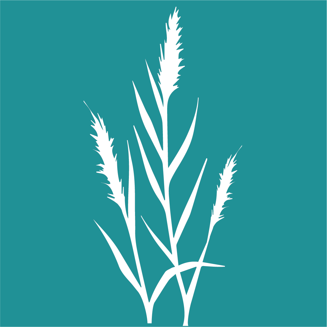 Talking Out of School