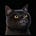 唯達VIDAR's avatar