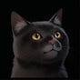 唯達VIDAR's avatar