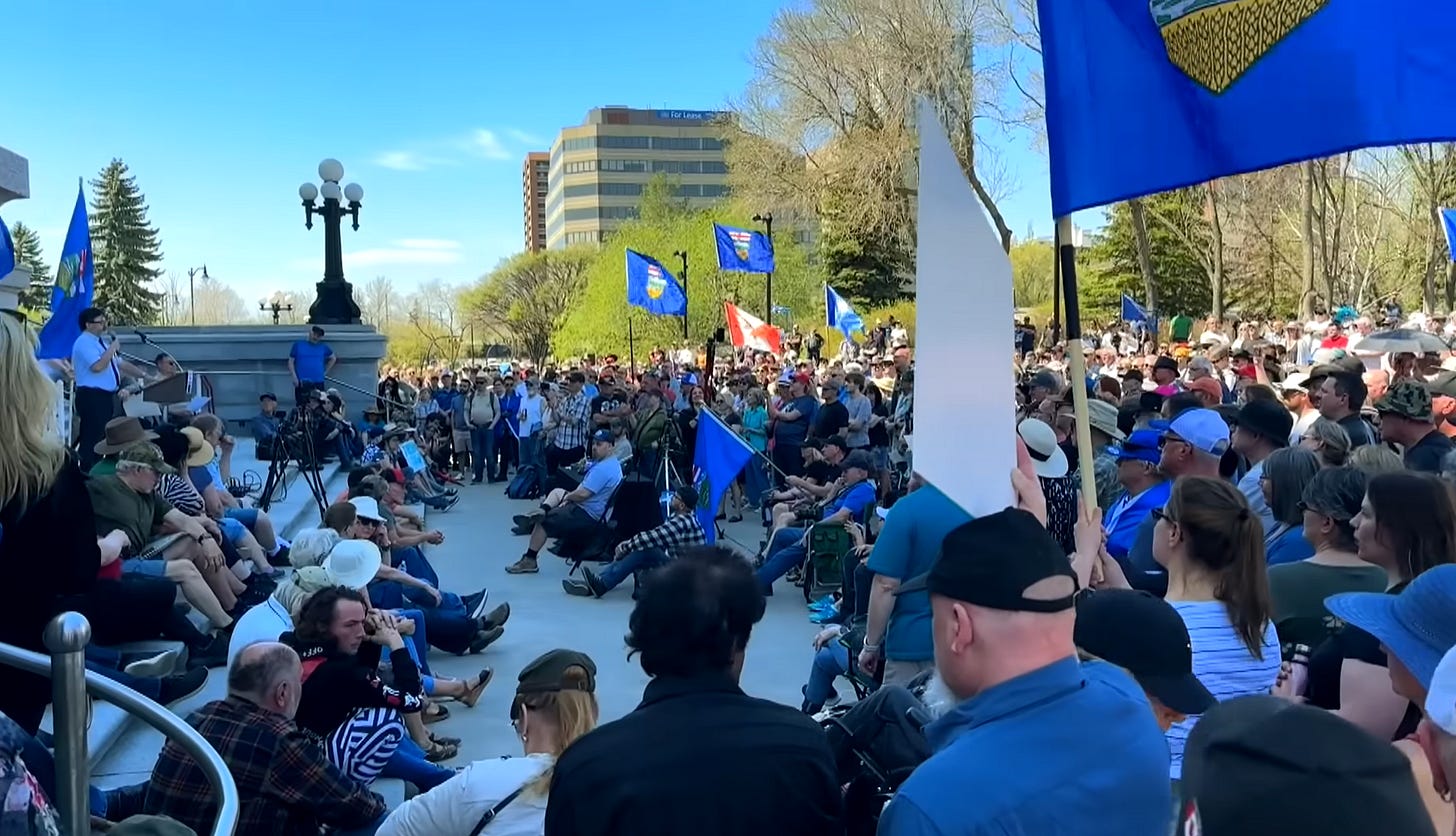 Rallygoers fly Alberta flags at an event outdoors