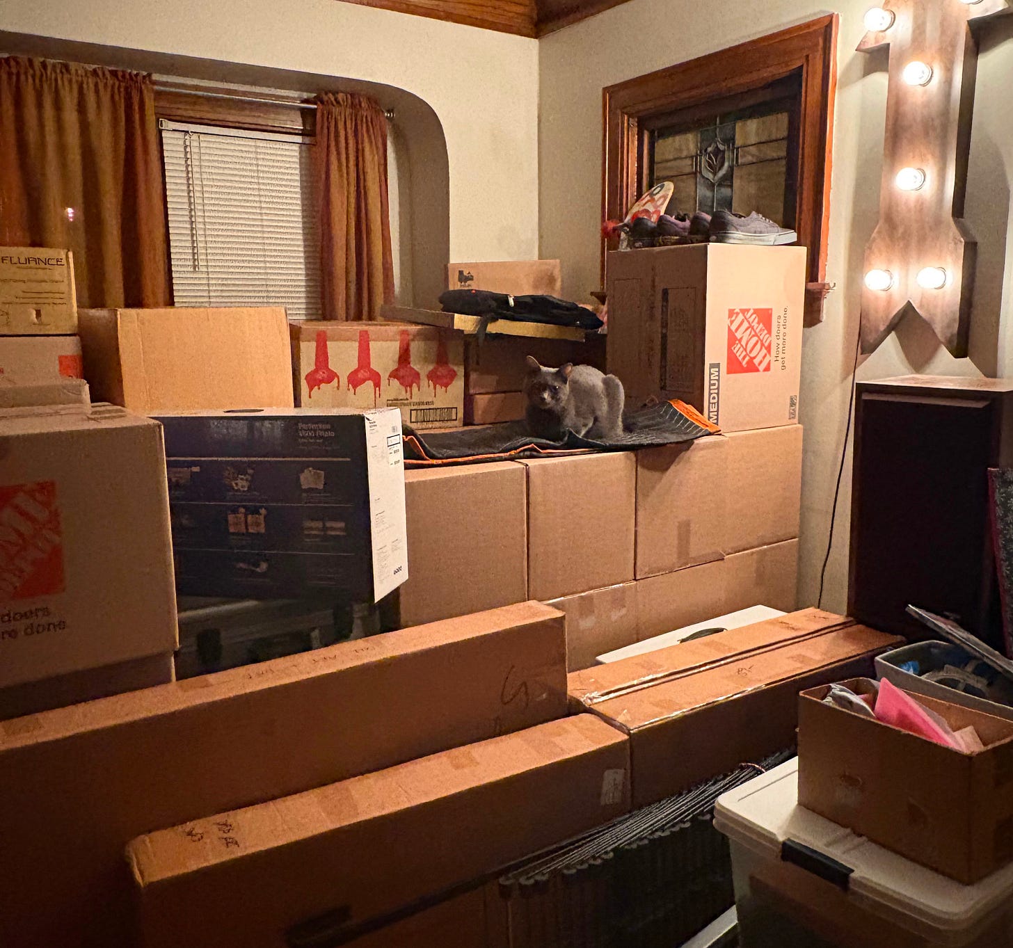 Living room full of packed boxes with a cat surveying the work
