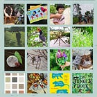 NATURE CLASS