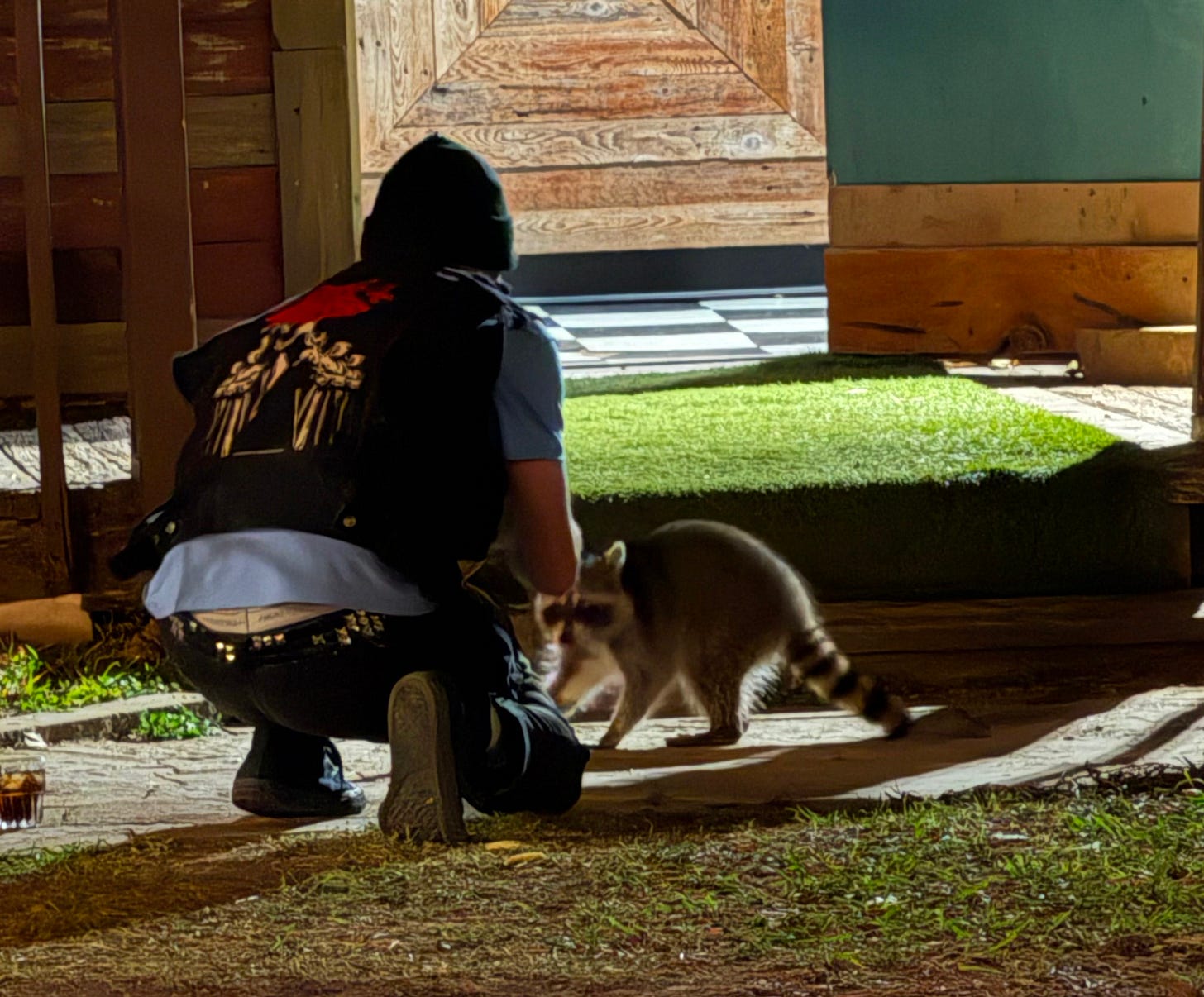 A man in a leather vest and beanie squatting down handing food to a raccoon in front of a wooden deck and grass