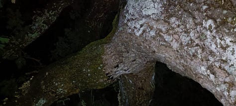 A night stroll through a Portuguese village