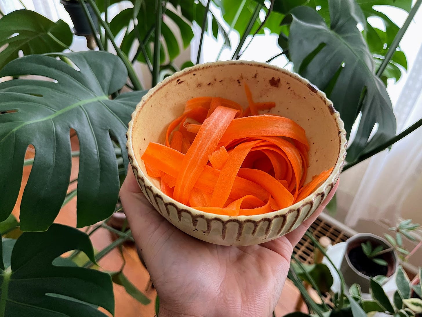 A hand holding a bowl of pickled shaved carrots