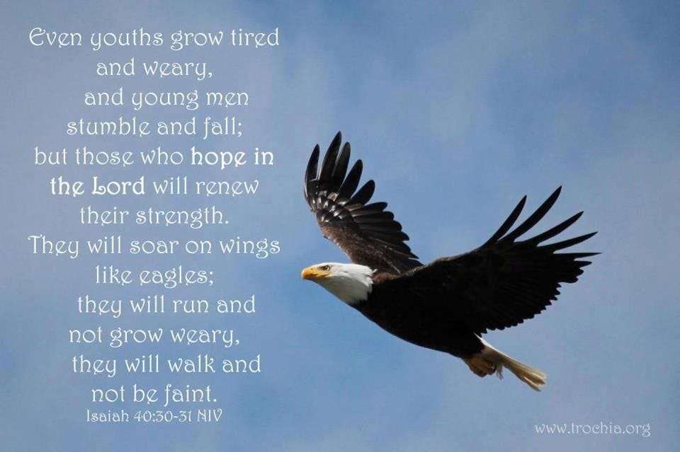 Isaiah 40:30-31 Isaiah 40 30, Wings Like Eagles, Prince Of Peace, Walk ...
