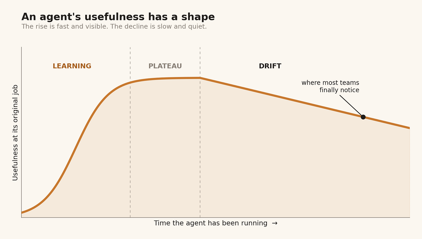 Capability rises fast, plateaus, then declines as accumulated memory turns to sediment. Illustrative of the pattern the longitudinal studies describe. Capability rises fast, plateaus, then declines as accumulated memory turns to sediment. Illustrative of the pattern the longitudinal studies describe.