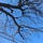 Juniper's Substack