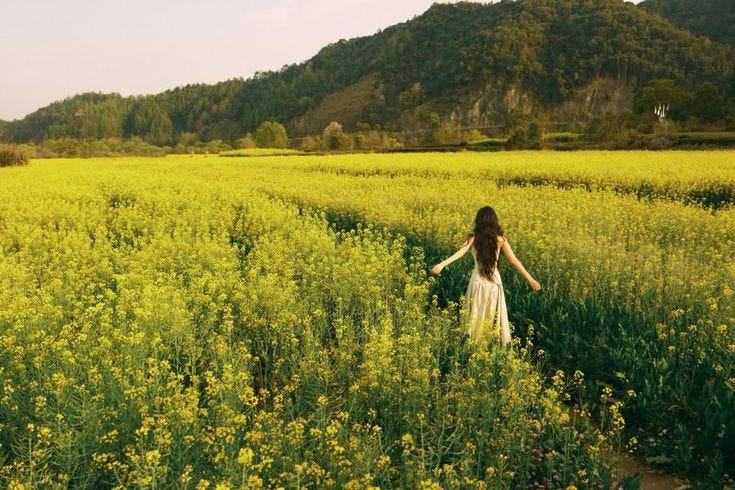 This may contain: a woman walking through a field of yellow flowers