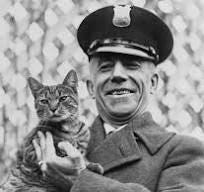 The Bidens' New Cat: Photos Show White House Cats Through ...