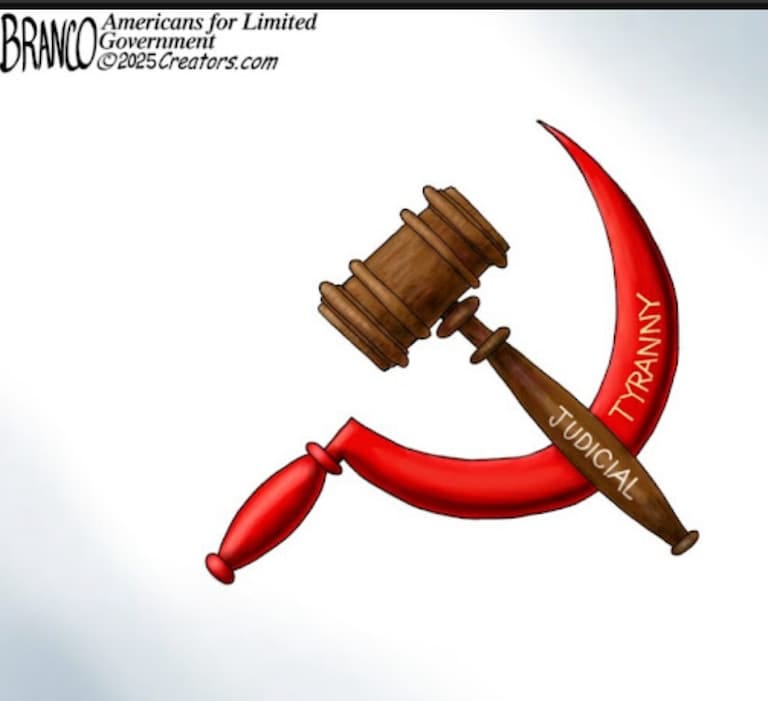 ...current judicial activism by Marxist progressive judges is the Constitutional crisis... 

