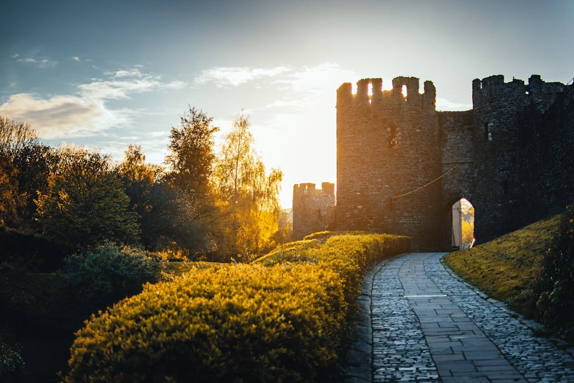 Free Charming view of a medieval castle with a garden pathway at sunrise, capturing a serene moment in history. Stock Photo