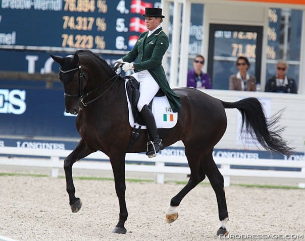 dessage horse dessage horse