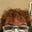 Judy Grasham's avatar