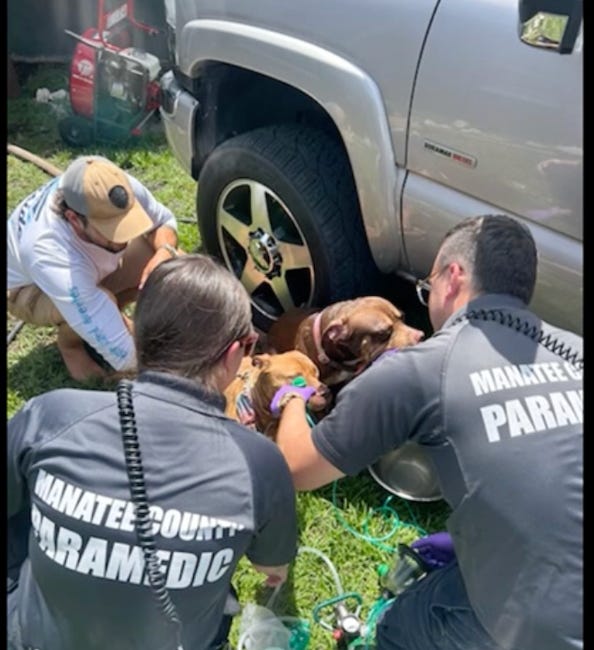 Firefighters Rescue Crated Dogs from Smoke-Filled Bradenton Home