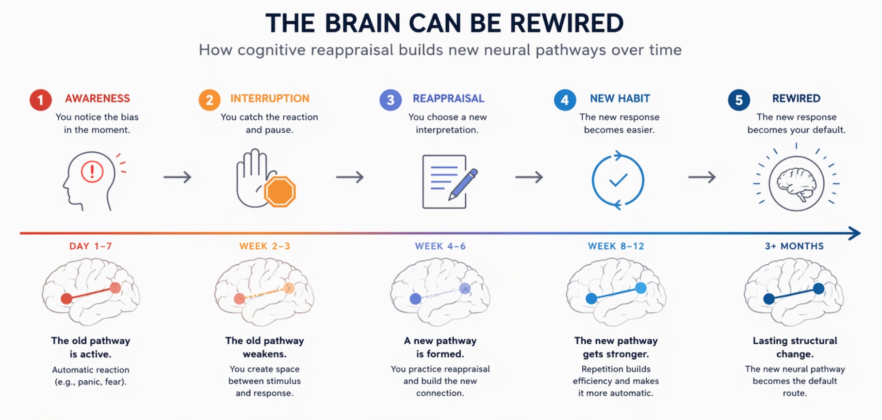 How to Rewire Your Brain for Better Decisions (A Simple Daily System)