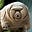 Mr Tardigrade UK's avatar