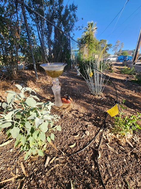 A collaborative community project envisioned and organized by Robin Motzer. Team members include Gillian Paine Murietta, Community Gardens of Tucson, Keith Lierman, Tucson Organic Gardeners, and volunteers, businesses and the City of Tucson Parks and Rec.