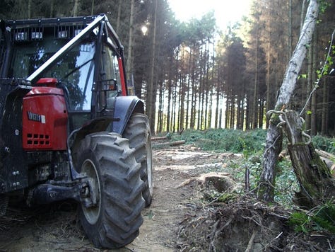 A tractor clearing trees, Anne harvesting branches, small pots of ointment