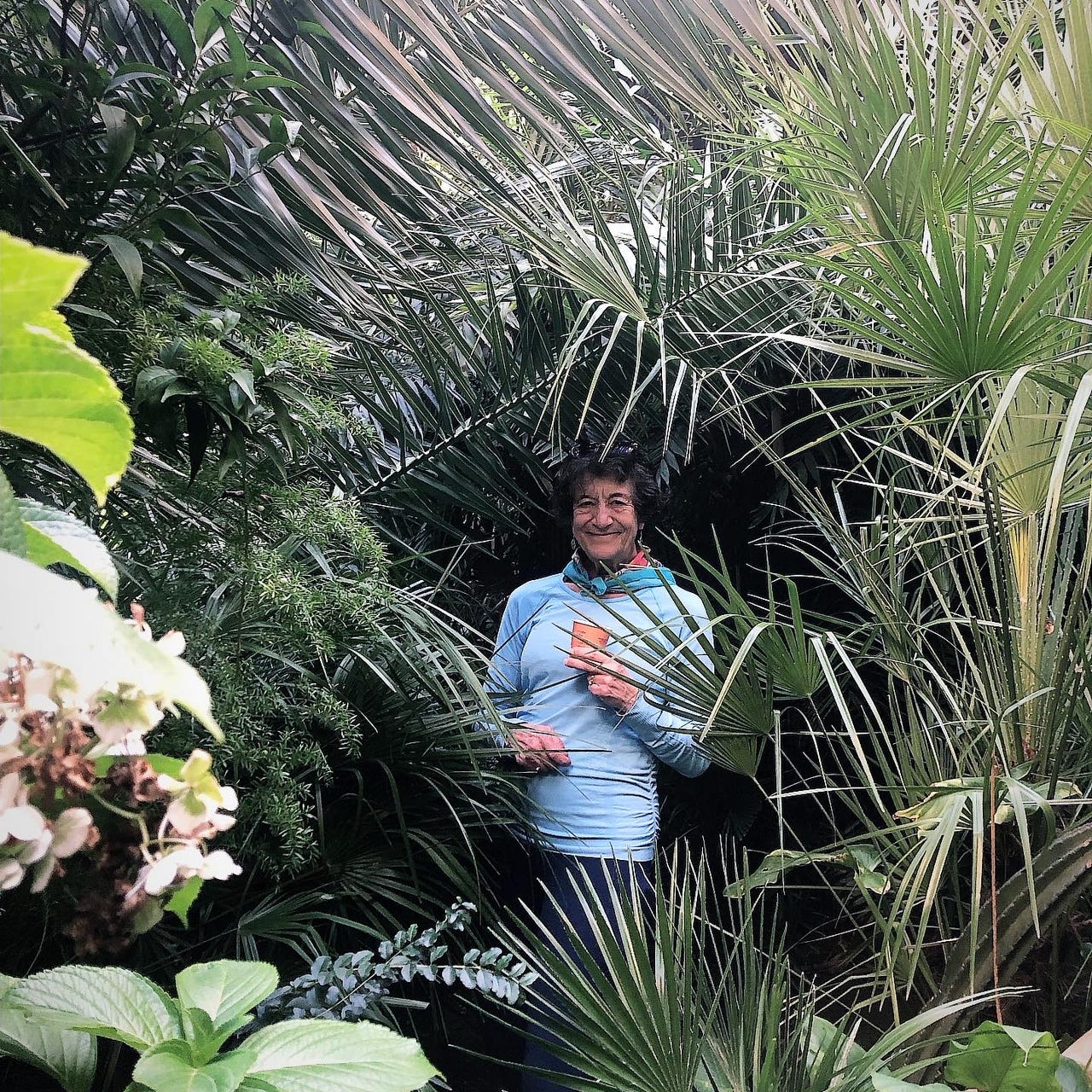 Claudia’s Substack: Here, NOW!