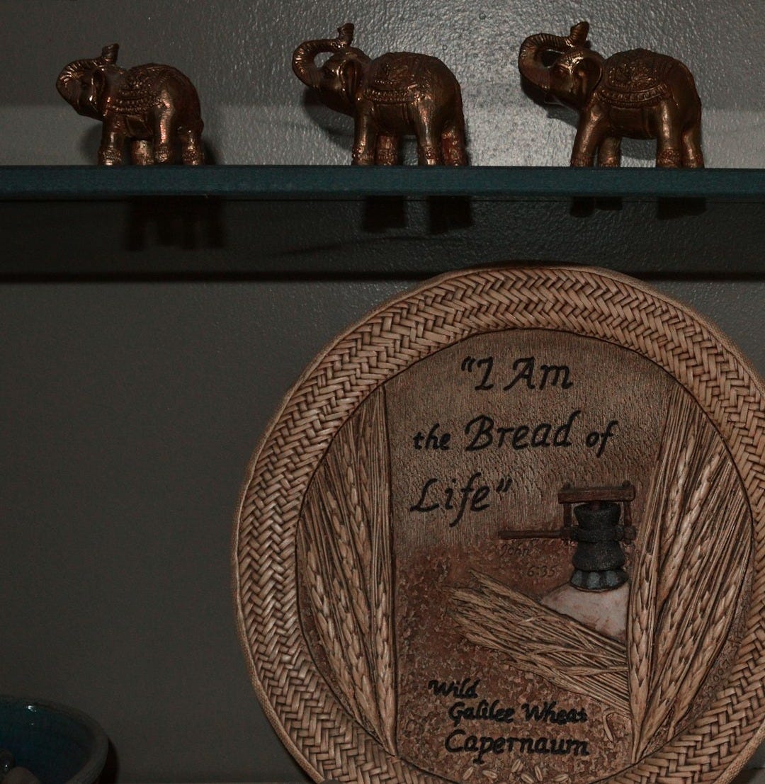 a plate that has some animals on it