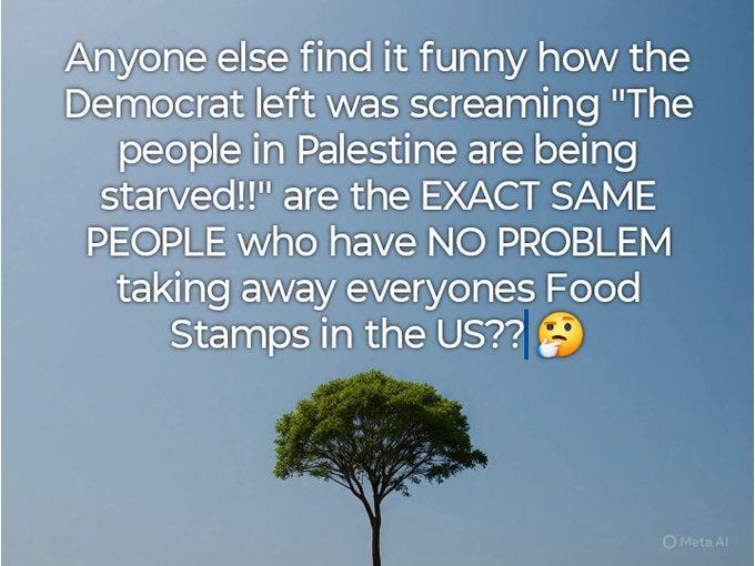 A large green tree stands alone in a field under a clear blue sky. Overlaid text reads: Anyone else find it funny how The Democrat left was screaming The people in Palestine are being starved are the EXACT SAME PEOPLE who have NO PROBLEM taking away everyones Food Stamps in the US with a thinking face emoji at the end.