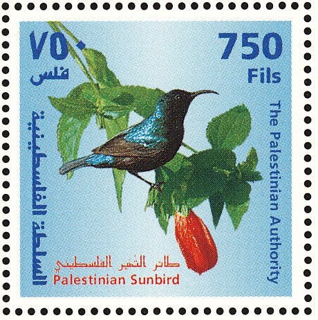 IMG_9581.jpeg IMG_9581.jpeg