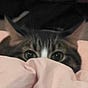 Spen's avatar