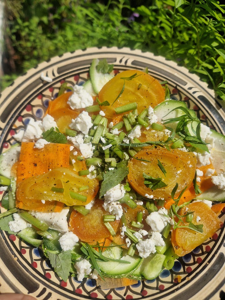 A semifrodo experiment, blackcurrants & yogurt, crispy rice seaweed wraps, golden beetroot & herb salad, naked beetroot, beetroot borani, tomato and strawberry salad