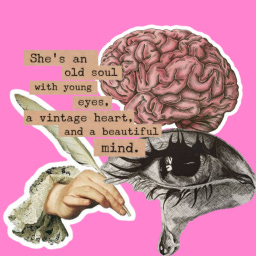 pelas curvas da minha mente