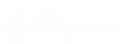The Streetlight 