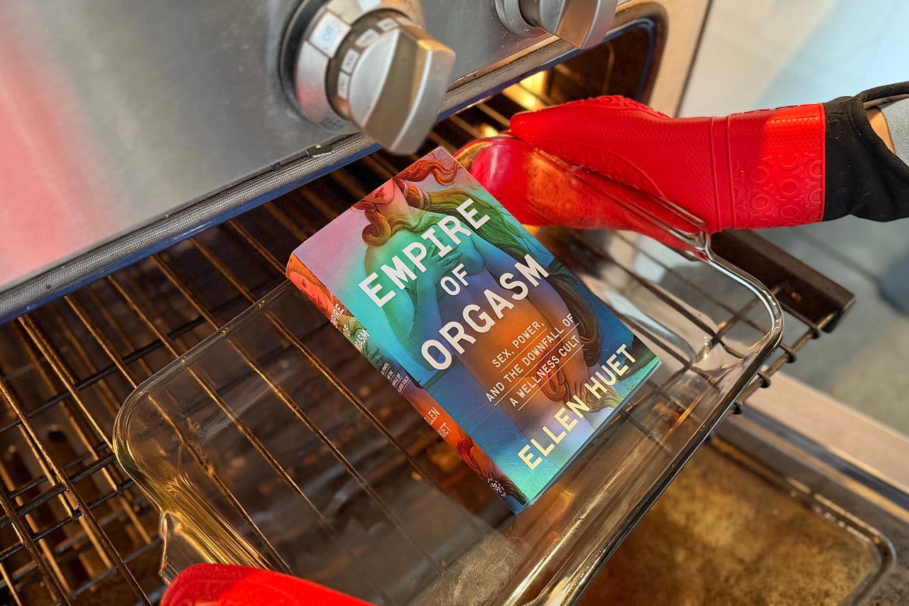 👽 Ellen Writes a Book | Substack