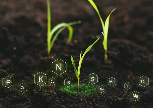 Bio Fertilizer Pictures | Download Free Images on Unsplash Bio Fertilizer Pictures | Download Free Images on Unsplash