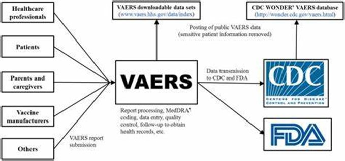 VAERS 