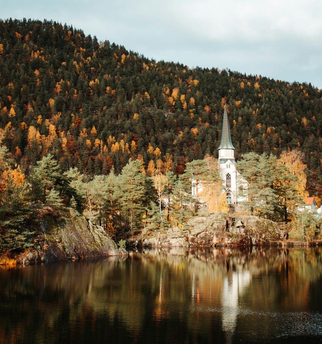reflection of trees on body of water during daytime