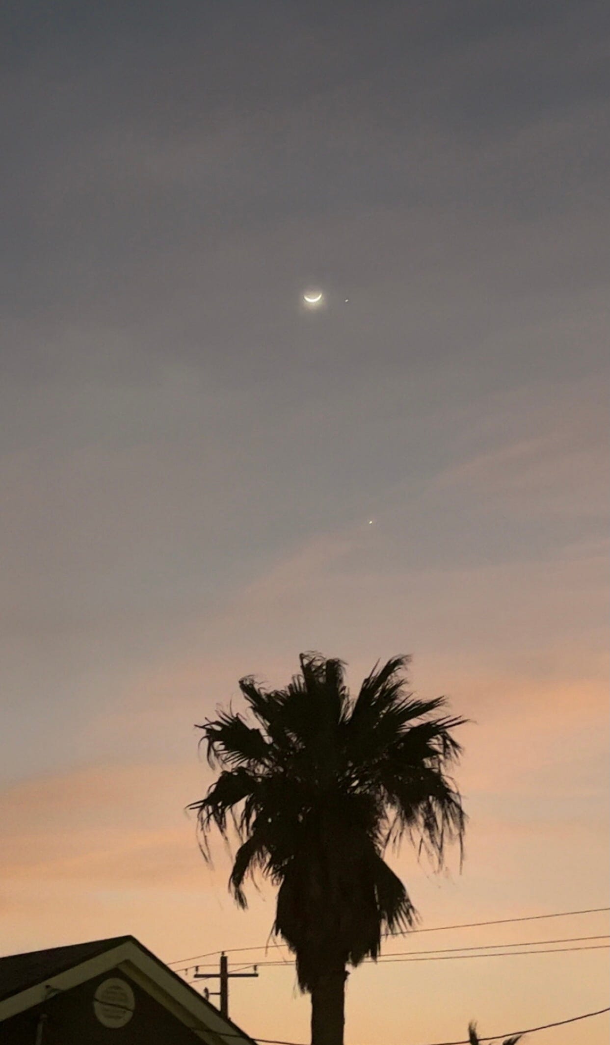 A crescent moon and a few scattered stars appear against a grayish blue sky that lightens with pink and orange clouds near the base of the photo. The silhouette of a palm tree stands at bottom center