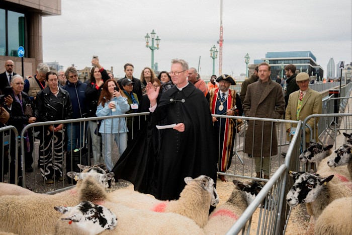 The Rev Paul Kennedy, the honorary chaplain of the Worshipful Company of Woolmen, blessing the sheep