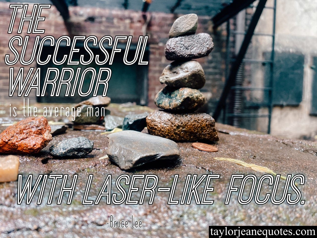 quote of the day, taylor jeane quotes, taylor jeane, quotes, bruce lee, bruce lee quotes, warrior quotes, success quotes, focus quotes, productivity quotes, motivational quotes, inspirational quotes, positive quotes