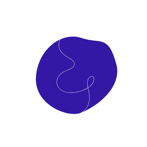 Somatic Modern Arts - SOMMA